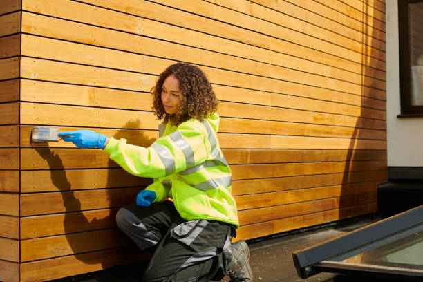 Affordable Siding Repair and Maintenance Services in Lyford, TX